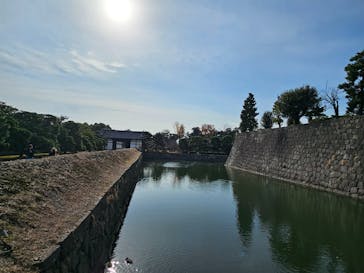 元離宮二条城に投稿された画像（2024/12/13）