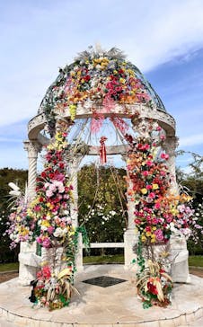 京成バラ園に投稿された画像（2024/12/13）