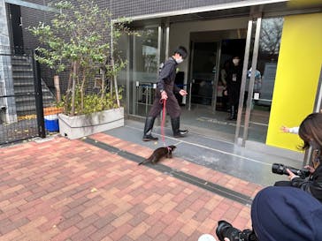 マクセル アクアパーク品川に投稿された画像（2024/12/13）