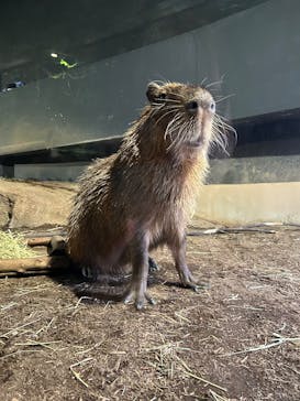 マクセル アクアパーク品川に投稿された画像（2024/12/13）