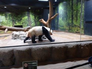 恩賜上野動物園に投稿された画像（2024/12/13）