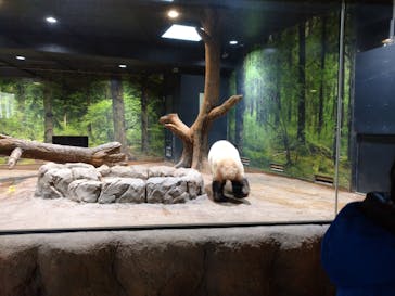 恩賜上野動物園に投稿された画像（2024/12/13）