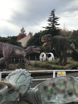 伊豆ぐらんぱる公園に投稿された画像（2024/12/13）