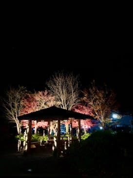 池田温泉本館・新館に投稿された画像（2024/12/13）