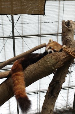 神戸どうぶつ王国に投稿された画像（2024/12/13）