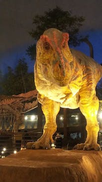 福井県立恐竜博物館に投稿された画像（2024/12/13）