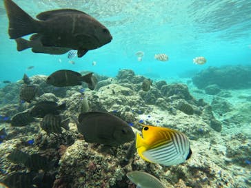 武藤潜水に投稿された画像（2024/12/13）