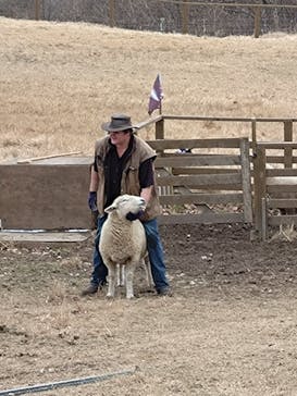 那須どうぶつ王国に投稿された画像（2024/12/13）