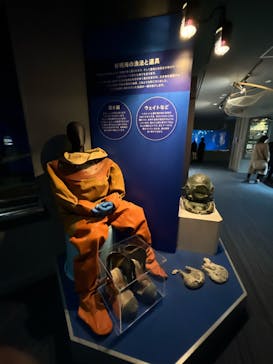 マリンワールド海の中道に投稿された画像（2024/12/13）