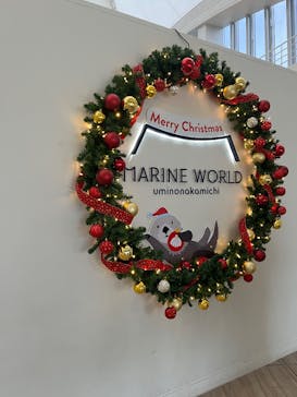 マリンワールド海の中道に投稿された画像（2024/12/13）