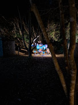 ニジゲンノモリに投稿された画像（2024/12/13）