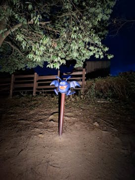 ニジゲンノモリに投稿された画像（2024/12/13）