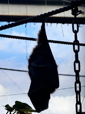 沖縄こどもの国に投稿された画像（2024/12/13）