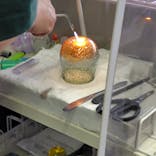 硝子工房NAKAMORIに投稿された画像（2024/12/13）