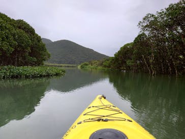 マングローブ茶屋に投稿された画像（2024/12/13）