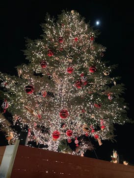 Christmas Market in 横浜赤レンガ倉庫 2025に投稿された画像（2024/12/13）