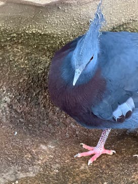 那須どうぶつ王国に投稿された画像（2024/12/13）