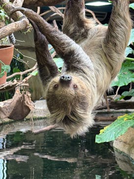 那須どうぶつ王国に投稿された画像（2024/12/13）