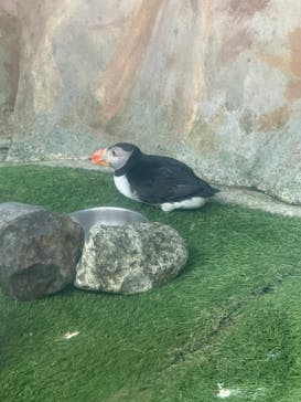 那須どうぶつ王国に投稿された画像（2024/12/13）