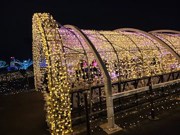 東京メガイルミに投稿された画像（2024/12/13）