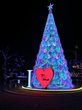 みろくの里に投稿された画像（2024/12/13）