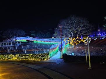 みろくの里に投稿された画像（2024/12/13）