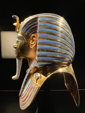 MYSTERY OF TUTANKHAMEN 体感型古代エジプト展に投稿された画像（2024/12/13）