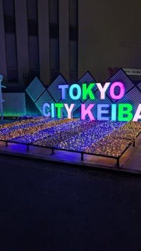 東京メガイルミに投稿された画像（2024/12/13）
