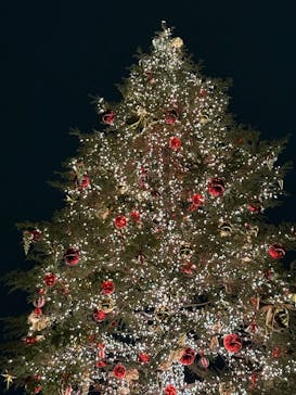 Christmas Market in 横浜赤レンガ倉庫 2025に投稿された画像（2024/12/13）