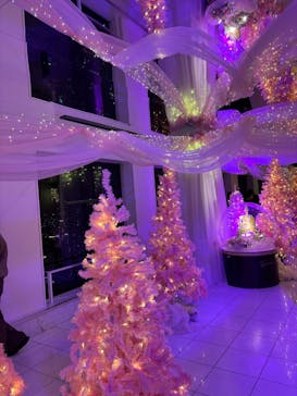 梅田スカイビル・空中庭園展望台に投稿された画像（2024/12/13）