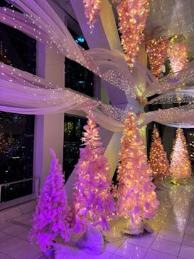 梅田スカイビル・空中庭園展望台に投稿された画像（2024/12/13）