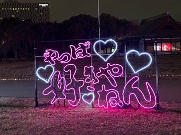 大阪城イルミナージュに投稿された画像（2024/12/13）