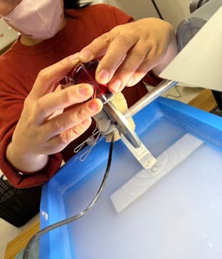 硝子工房 彩鳳に投稿された画像（2024/12/13）