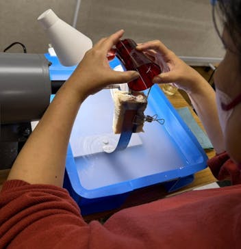 硝子工房 彩鳳に投稿された画像（2024/12/13）