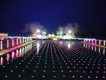 鹿児島イルミナージュに投稿された画像（2024/12/13）