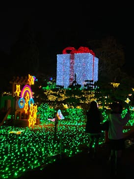 みろくの里に投稿された画像（2024/12/13）