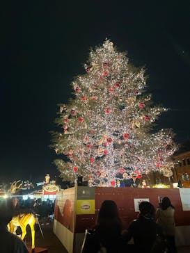Christmas Market in 横浜赤レンガ倉庫 2025に投稿された画像（2024/12/14）