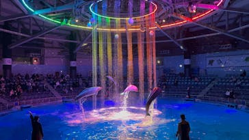 マクセル アクアパーク品川に投稿された画像（2024/12/14）