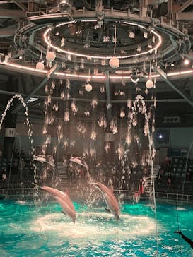 マクセル アクアパーク品川に投稿された画像（2024/12/14）