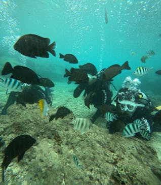 沖縄マリンサービス碧に投稿された画像（2024/12/14）