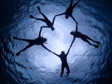 宮古島マリンショップSmileyに投稿された画像（2024/12/14）