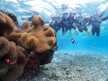 宮古島マリンショップSmileyに投稿された画像（2024/12/14）