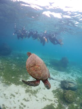 宮古島マリンショップSmileyに投稿された画像（2024/12/14）