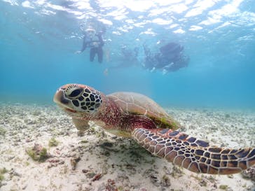 宮古島マリンショップSmileyに投稿された画像（2024/12/14）
