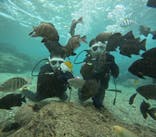 沖縄マリンサービス碧に投稿された画像（2024/12/14）