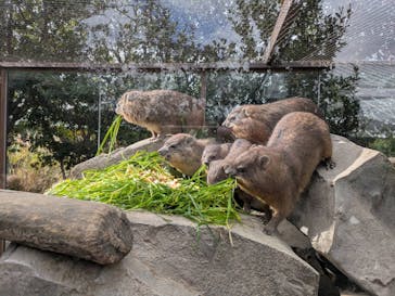 神戸どうぶつ王国に投稿された画像（2024/12/14）