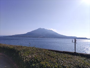 仙巌園に投稿された画像（2024/12/14）