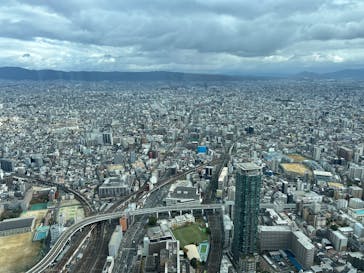 ハルカス300(展望台)に投稿された画像（2024/12/14）