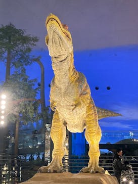 福井県立恐竜博物館に投稿された画像（2024/12/14）