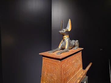 MYSTERY OF TUTANKHAMEN 体感型古代エジプト展に投稿された画像（2024/12/14）